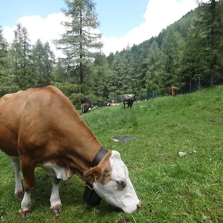 Le Cappellette * Moggio (Lecco)