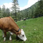 Le Cappellette * Moggio (Lecco)
